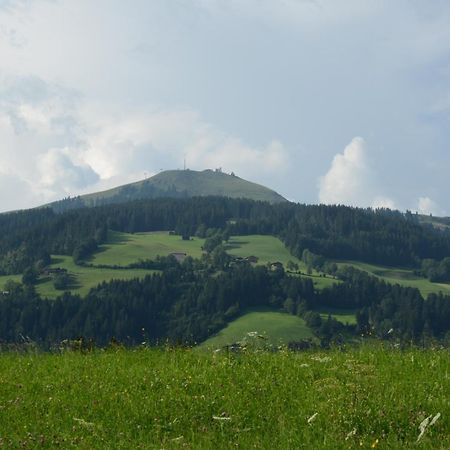 Landhaus Lindner ヴェステンドルフ エクステリア 写真